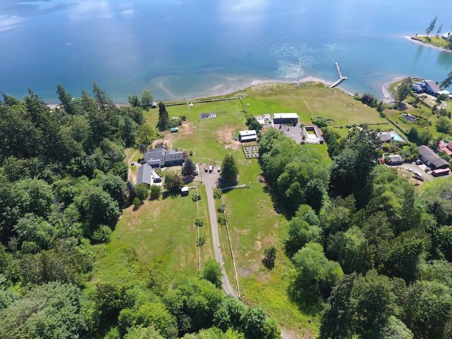 Oceanfront Studio/Loft: Alpacas, Oysters & Kayaks Shelton Exterior photo