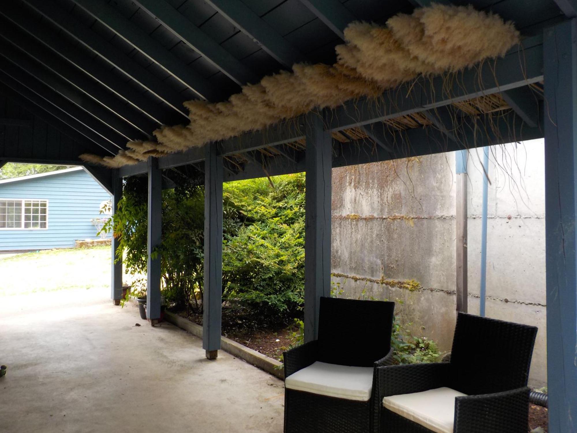 Oceanfront Studio/Loft: Alpacas, Oysters & Kayaks Shelton Exterior photo