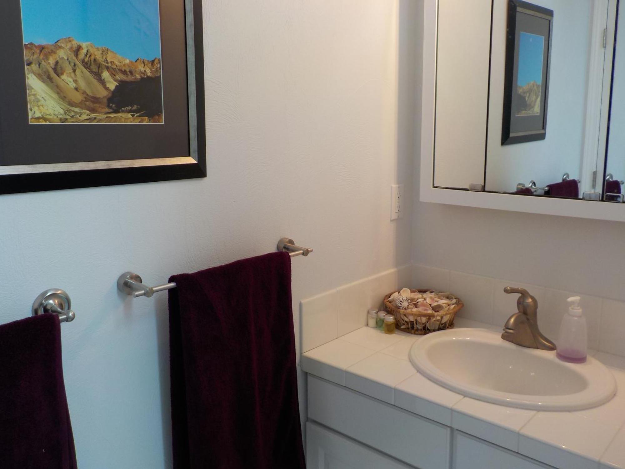 Oceanfront Studio/Loft: Alpacas, Oysters & Kayaks Shelton Exterior photo